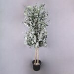 Árbol Liofilizado Eucalipto Verde