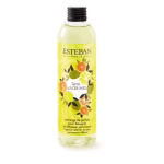 Recambio de fragancia para bouquet Terre d’Agrumes. 250 ml