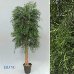 Árbol Liofilizado Nicoly Baby 1.50m