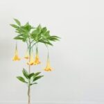 Planta Datura Artificial 1.45m