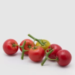 Rama 2 tomates artificiales