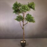 Árbol Liofilizado Eucalipto 1.80m