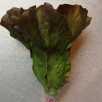 Lechuga artificial