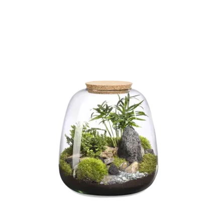 Terrario-Moly L Landscape