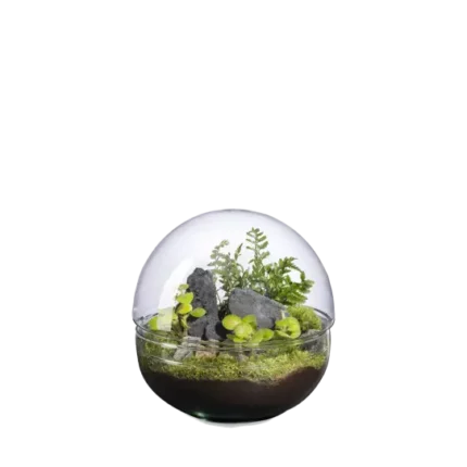 Terrario-Mini Monde M Landscape