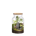 Terrario-Jungle M Landscape