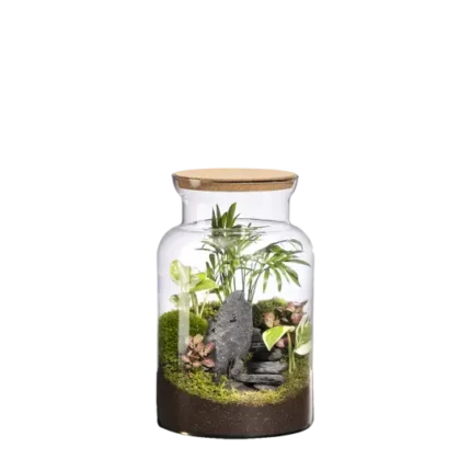 Terrario-Jungle M Landscape