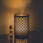 Difusor de Perfume en Bruma