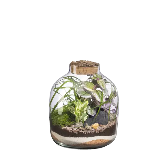 mensa m - copia Terrario-Mensa M - Imagen 1
