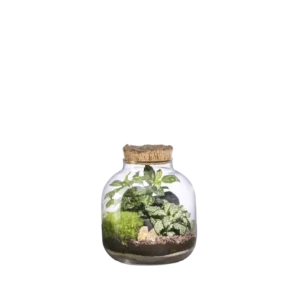 Terrario-Mensa S